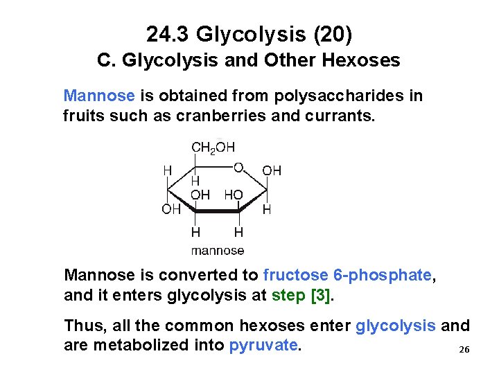 24. 3 Glycolysis (20) C. Glycolysis and Other Hexoses Mannose is obtained from polysaccharides
