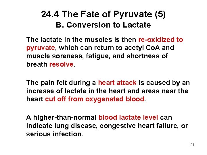 24. 4 The Fate of Pyruvate (5) B. Conversion to Lactate The lactate in