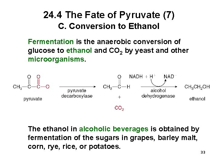 24. 4 The Fate of Pyruvate (7) C. Conversion to Ethanol Fermentation is the
