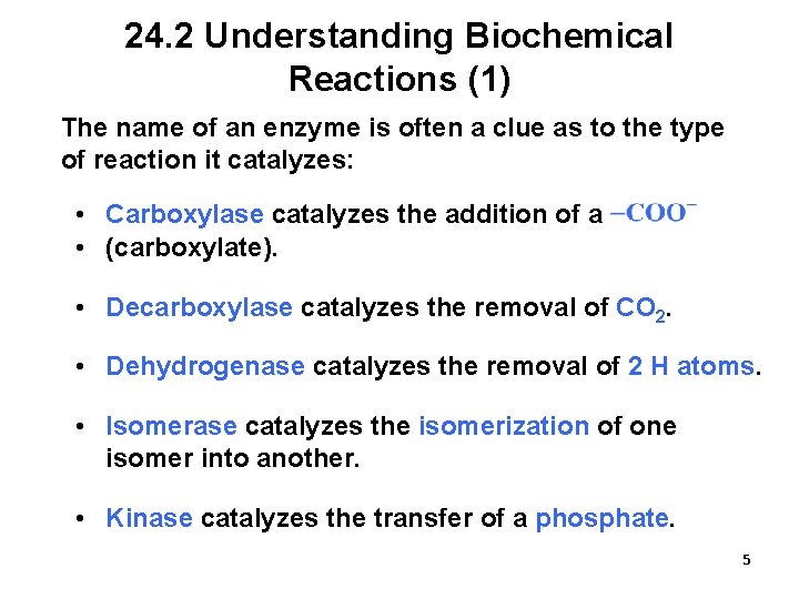 24. 2 Understanding Biochemical Reactions (1) The name of an enzyme is often a