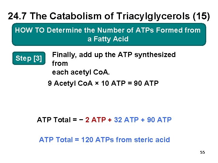 24. 7 The Catabolism of Triacylglycerols (15) HOW TO TO Determine the Number of
