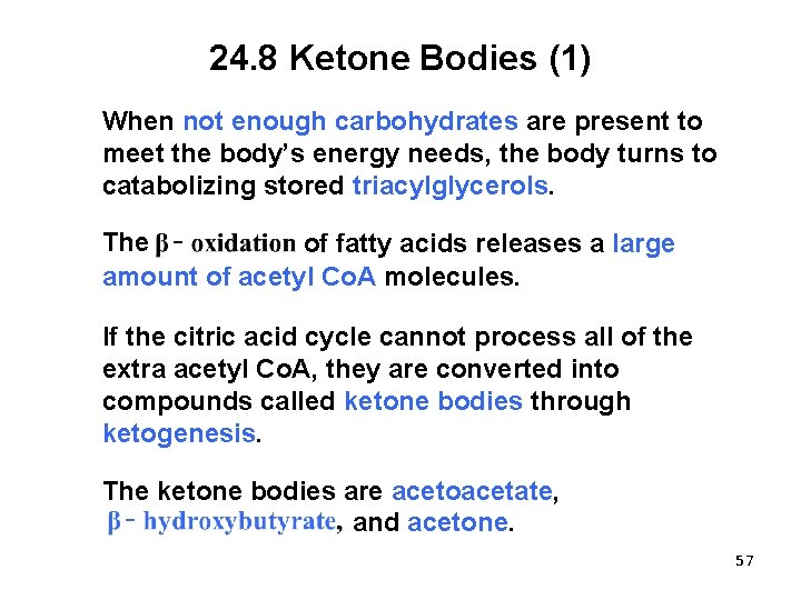 24. 8 Ketone Bodies (1) When not enough carbohydrates are present to meet the