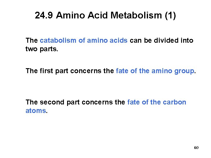 24. 9 Amino Acid Metabolism (1) The catabolism of amino acids can be divided