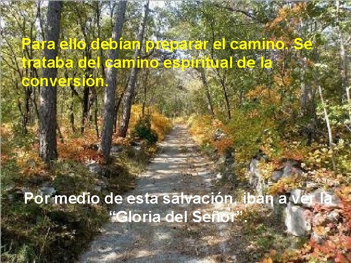 Para ello debían preparar el camino. Se trataba del camino espiritual de la conversión.