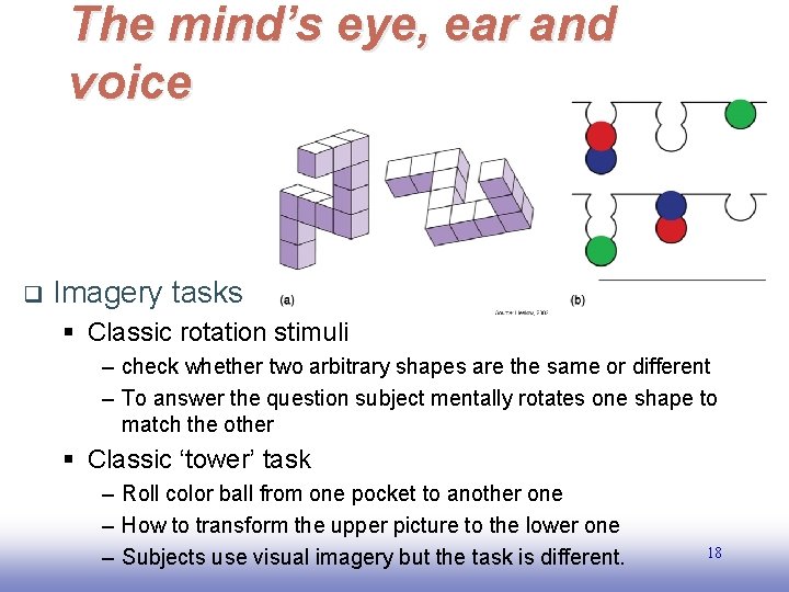The mind’s eye, ear and voice q Imagery tasks § Classic rotation stimuli –