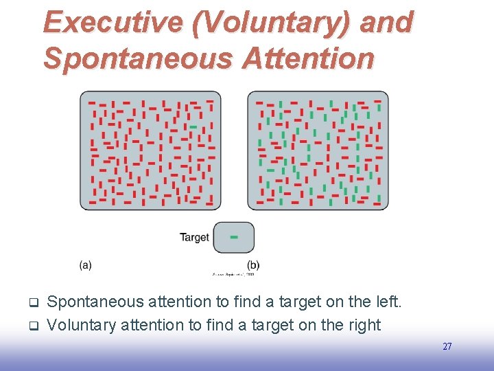 Executive (Voluntary) and Spontaneous Attention q q Spontaneous attention to find a target on