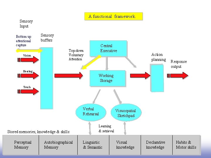 A functional framework. Sensory Input Bottom up attentional capture Vision Sensory buffers Central Executive