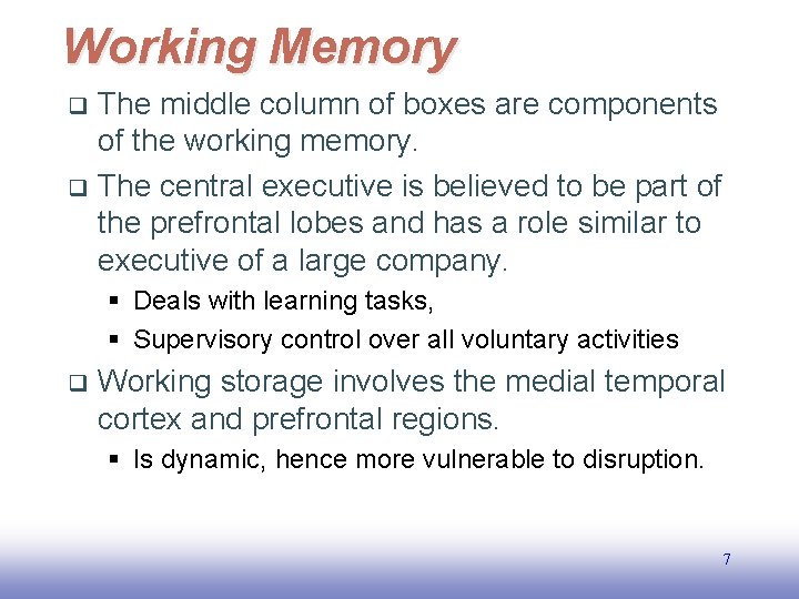 Working Memory The middle column of boxes are components of the working memory. q
