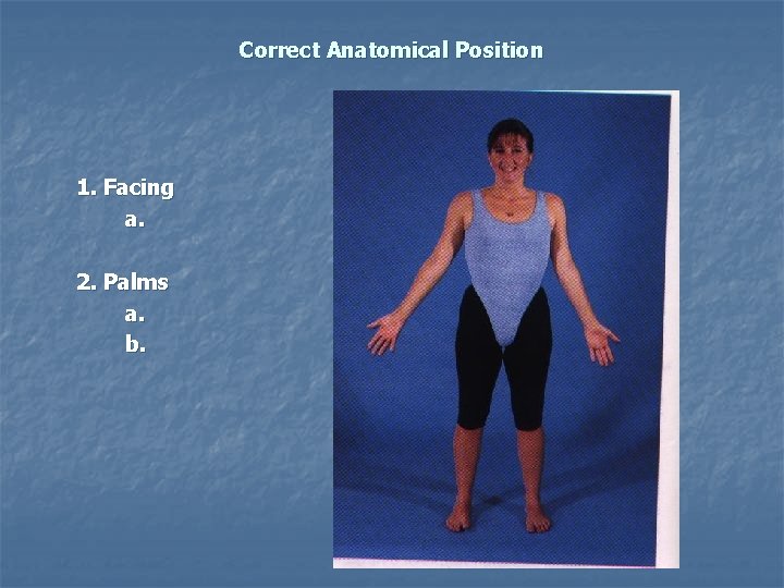 Correct Anatomical Position 1. Facing a. 2. Palms a. b. 