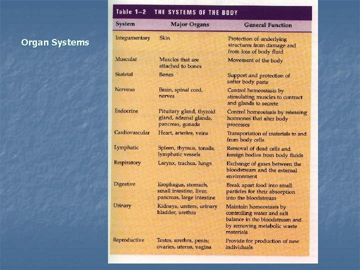 Organ Systems 