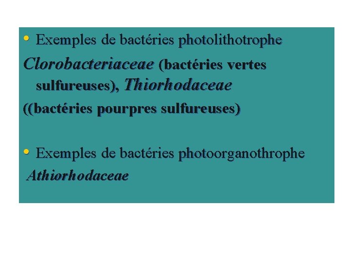  • Exemples de bactéries photolithotrophe Clorobacteriaceae (bactéries vertes sulfureuses), Thiorhodaceae ((bactéries pourpres sulfureuses)