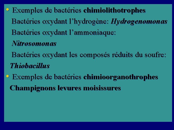  • Exemples de bactéries chimiolithotrophes Bactéries oxydant l’hydrogène: Hydrogenomonas Bactéries oxydant l’ammoniaque: Nitrosomonas