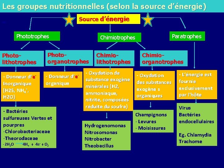 Les groupes nutritionnelles (selon la source d’énergie) Source d’énergie Phototrophes Photolithotrophes Donneur d’e- Inorganique