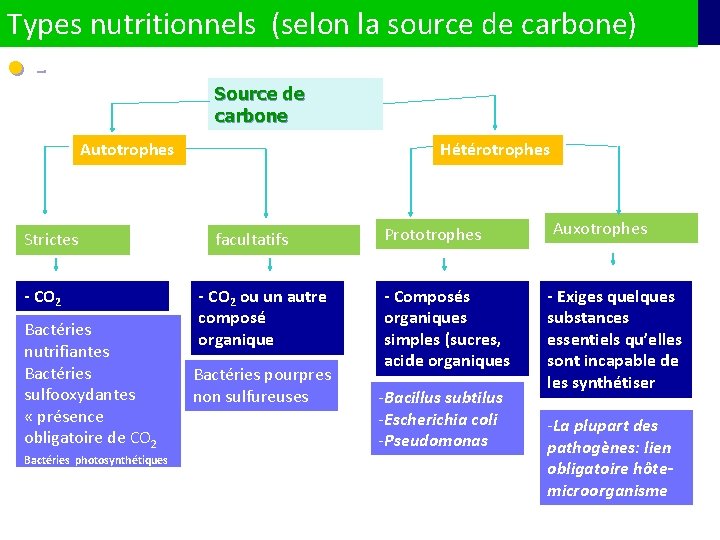 Types nutritionnels (selon la source de carbone) • Source de carbone Autotrophes Strictes -