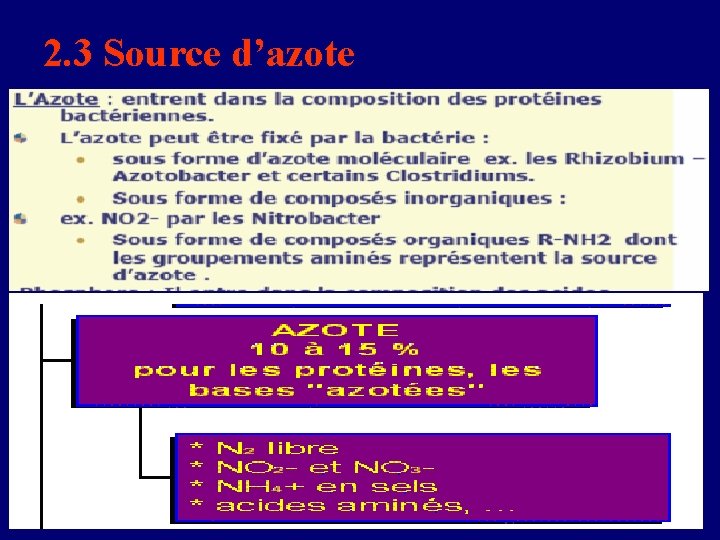 2. 3 Source d’azote 