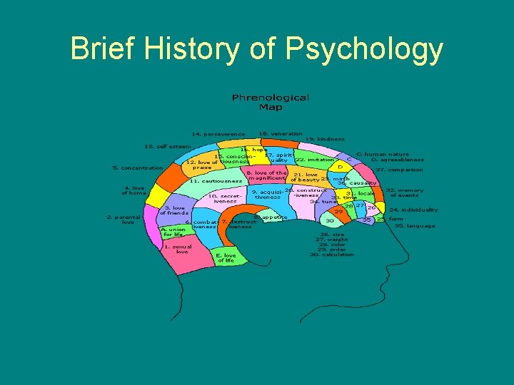 Brief History of Psychology 
