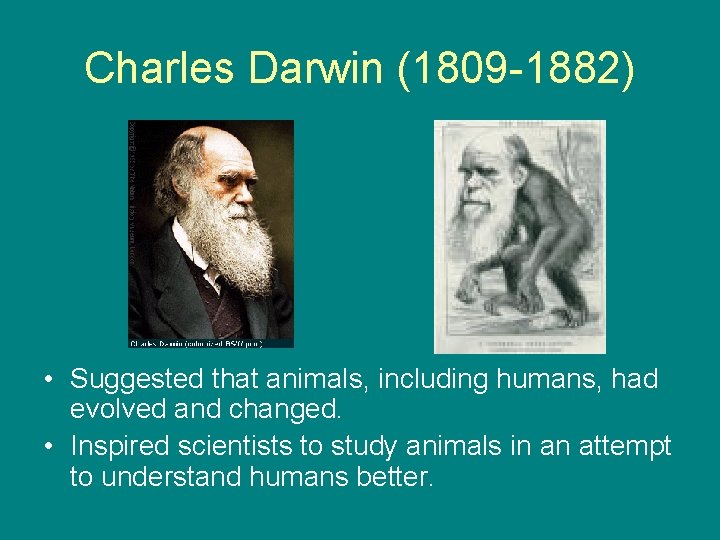 Charles Darwin (1809 -1882) • Suggested that animals, including humans, had evolved and changed.