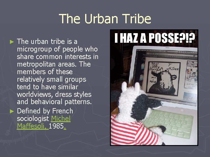 The Urban Tribe The urban tribe is a microgroup of people who share common
