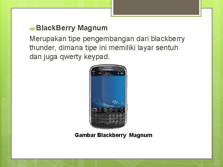  Black. Berry Magnum Merupakan tipe pengembangan dari blackberry thunder, dimana tipe ini memiliki
