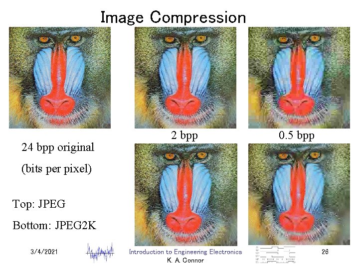 Image Compression 24 bpp original 2 bpp 0. 5 bpp (bits per pixel) Top: