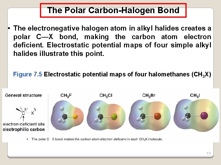 The Polar Carbon-Halogen Bond • The electronegative halogen atom in alkyl halides creates a