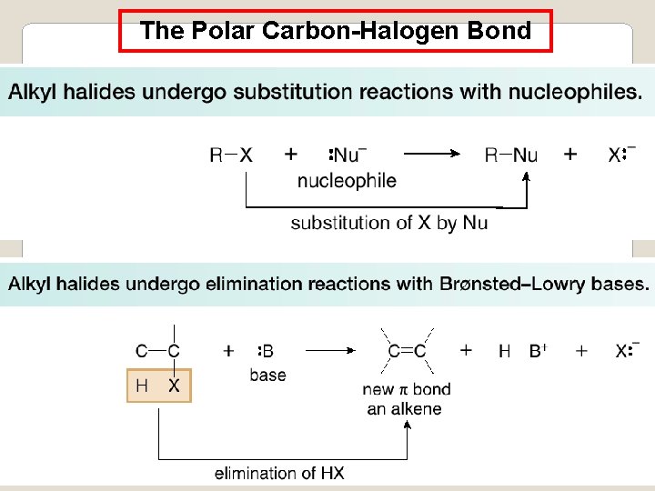 The Polar Carbon-Halogen Bond 11 