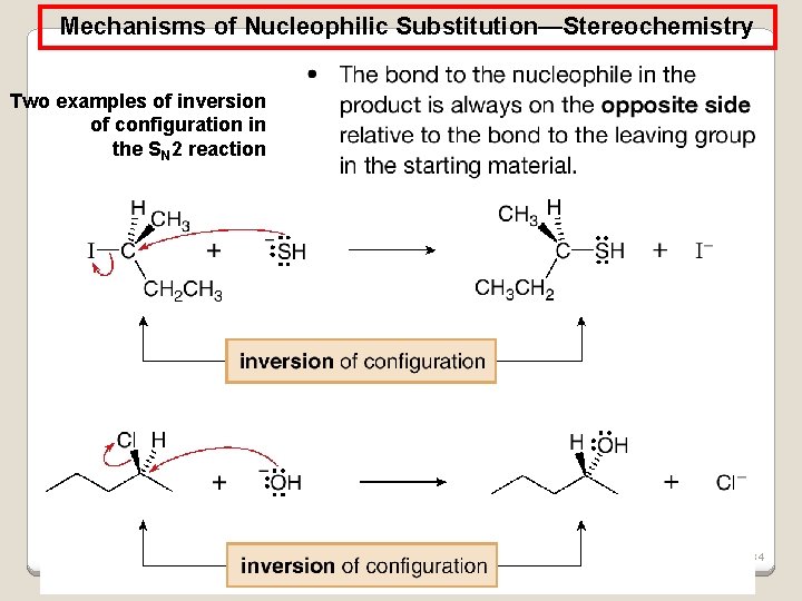 Mechanisms of Nucleophilic Substitution—Stereochemistry Two examples of inversion of configuration in the SN 2