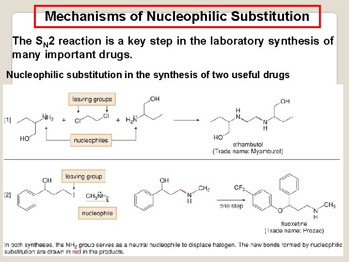 Mechanisms of Nucleophilic Substitution The SN 2 reaction is a key step in the