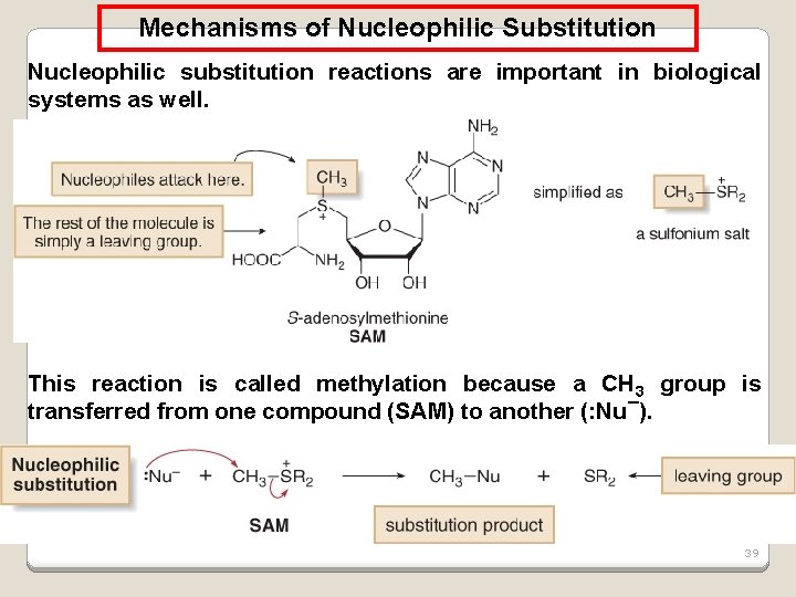 Mechanisms of Nucleophilic Substitution Nucleophilic substitution reactions are important in biological systems as well.