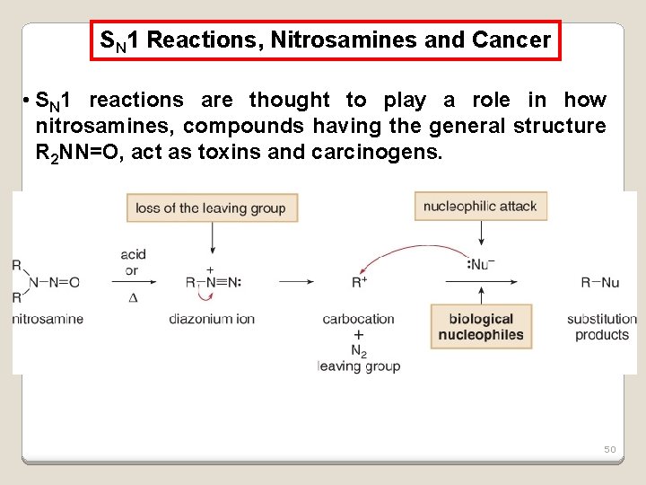 SN 1 Reactions, Nitrosamines and Cancer • SN 1 reactions are thought to play