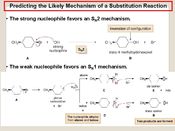 Predicting the Likely Mechanism of a Substitution Reaction • The strong nucleophile favors an