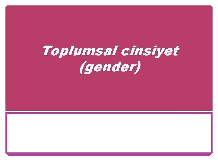 Toplumsal cinsiyet (gender) 