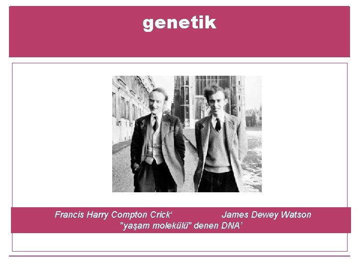 genetik Francis Harry Compton Crick‘ James Dewey Watson "yaşam molekülü" denen DNA’ 