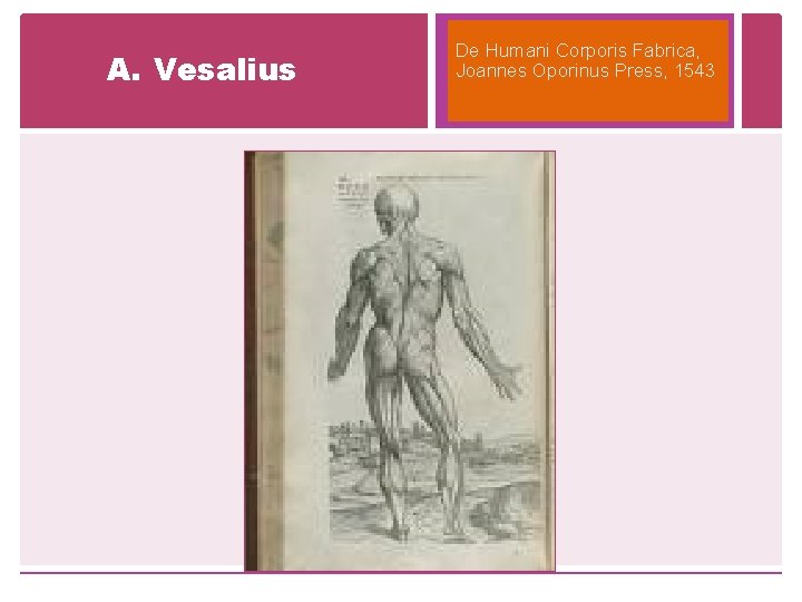 A. Vesalius De Humani Corporis Fabrica, Joannes Oporinus Press, 1543 