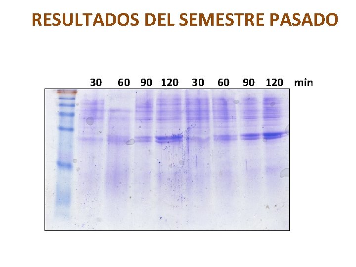 RESULTADOS DEL SEMESTRE PASADO 30 60 90 120 min 