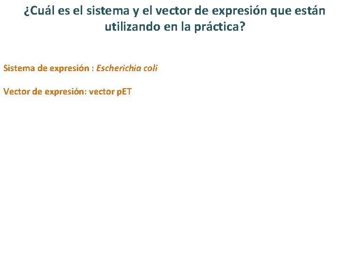 ¿Cuál es el sistema y el vector de expresión que están utilizando en la