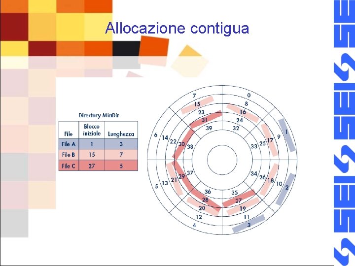 Allocazione contigua 