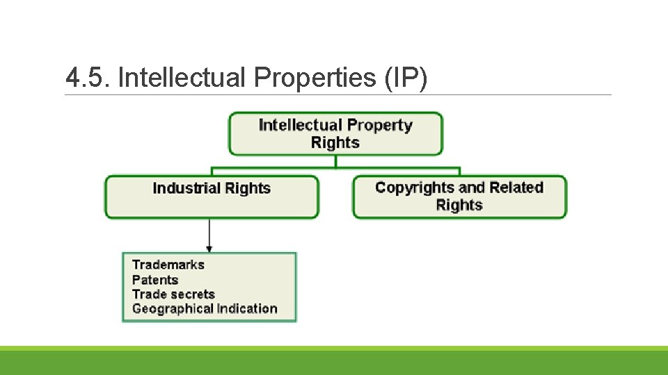 4. 5. Intellectual Properties (IP) 