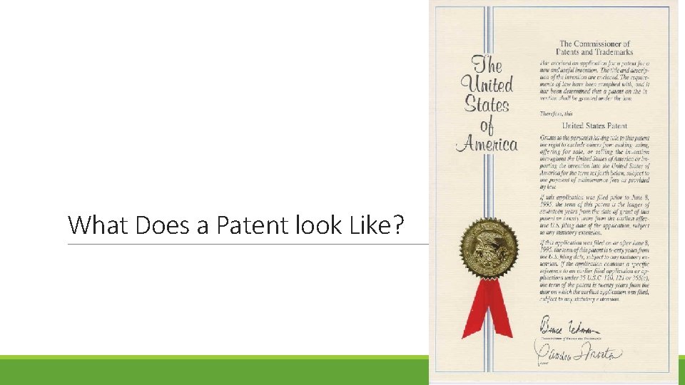 What Does a Patent look Like? 