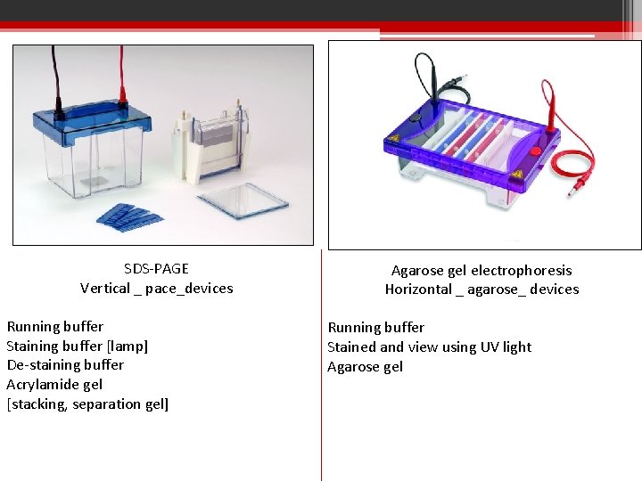 SDS-PAGE Vertical _ pace_devices Running buffer Staining buffer [lamp] De-staining buffer Acrylamide gel [stacking,