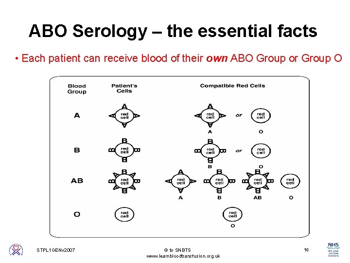 ABO Serology – the essential facts • Each patient can receive blood of their