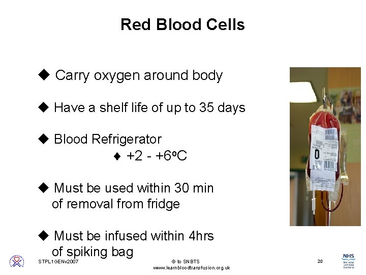 Red Blood Cells u Carry oxygen around body u Have a shelf life of