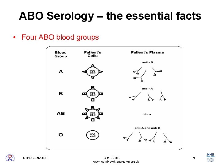 ABO Serology – the essential facts • Four ABO blood groups 9 STPL 1