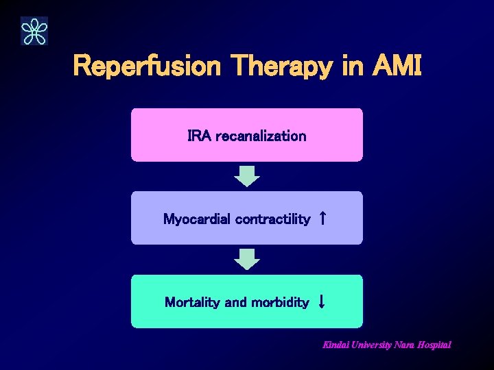 Reperfusion Therapy in AMI IRA recanalization Myocardial contractility ↑ Mortality and morbidity ↓ Kindai