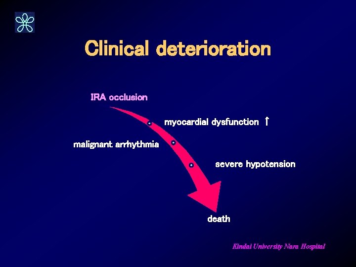 Clinical deterioration IRA occlusion myocardial dysfunction ↑ malignant arrhythmia severe hypotension death Kindai University
