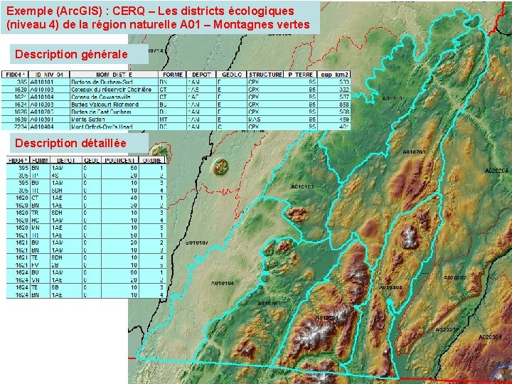 Exemple (Arc. GIS) : CERQ – Les districts écologiques (niveau 4) de la région