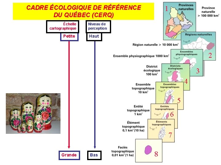 CADRE ÉCOLOGIQUE DE RÉFÉRENCE DU QUÉBEC (CERQ) Échelle cartographique Petite 1 Niveau de perception