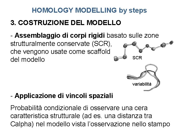HOMOLOGY MODELLING by steps 3. COSTRUZIONE DEL MODELLO - Assemblaggio di corpi rigidi basato