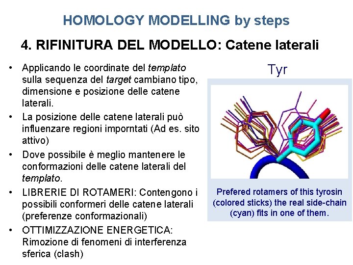 HOMOLOGY MODELLING by steps 4. RIFINITURA DEL MODELLO: Catene laterali • Applicando le coordinate