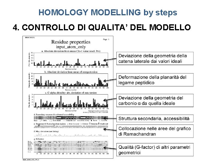 HOMOLOGY MODELLING by steps 4. CONTROLLO DI QUALITA’ DEL MODELLO 